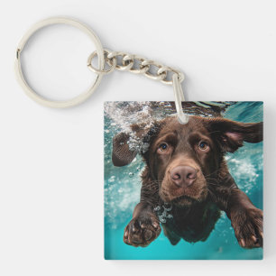 Llavero Labrador Chocolate Juguetón Nadando Bajo el Agua