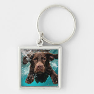 Llavero Labrador Chocolate Juguetón Nadando Bajo el Agua
