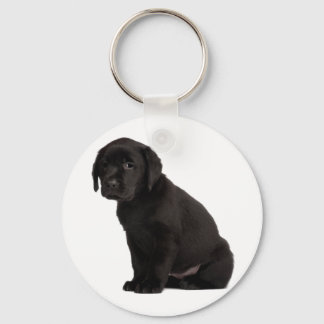 Llavero Labrador negro