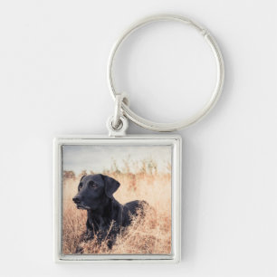 Llavero Labrador Negro En Grasa Seca