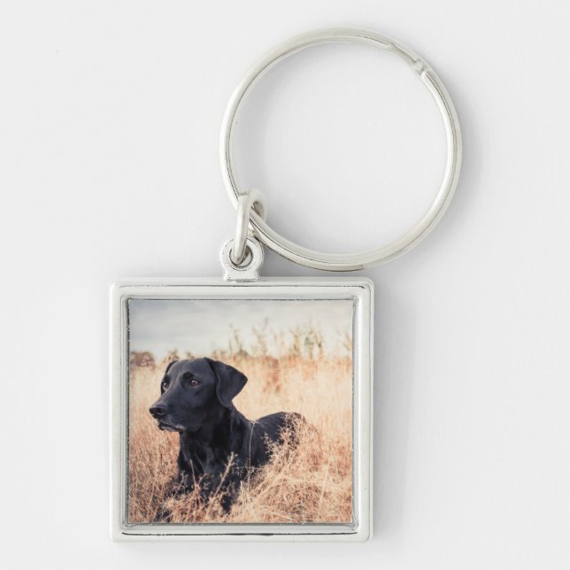 Llavero Labrador negro en hierba seca (Frente)