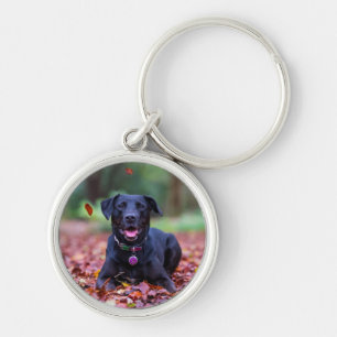 Llavero Labrador negro en hojas de otoño