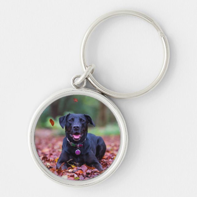 Llavero Labrador negro en hojas de otoño (Frente)