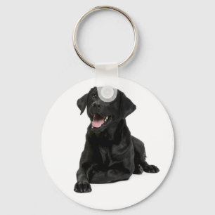 Llavero Labrador negro que recuperó la cadena de los perr