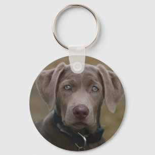Llavero Labrador recuperador en plata rara