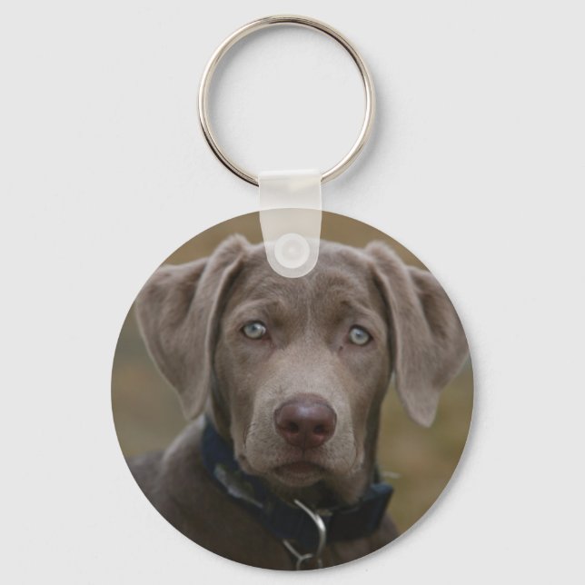 Llavero Labrador recuperador en plata rara (Anverso)