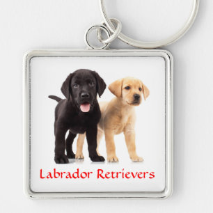 Llavero Labrador Recuperador Puppies Cadena de llaves Prem