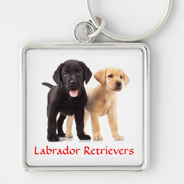 Llavero Labrador Recuperador Puppies Cadena de llaves Prem (Frente)