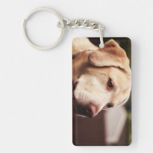 Llavero Labrador Retriever