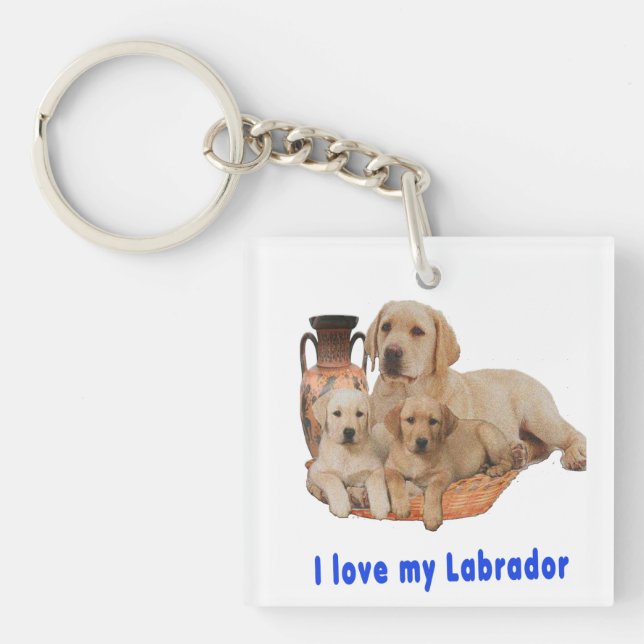 Llavero Labrador Retriever (Frente)