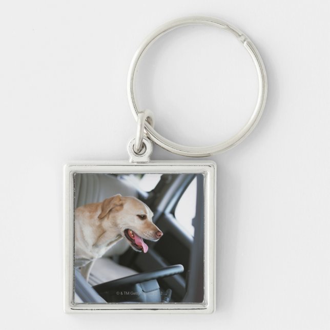 Llavero Labrador retriever (Frente)