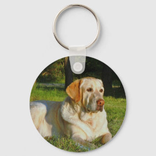 Llavero Labrador retriever amarillo