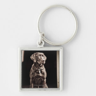 Llavero Labrador retriever del chocolate