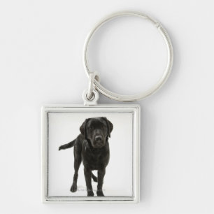Llavero Labrador retriever negro