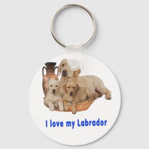 Llavero Labrador Retriever puppy