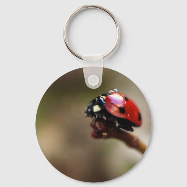 LLAVERO LABYBIRD (Anverso)