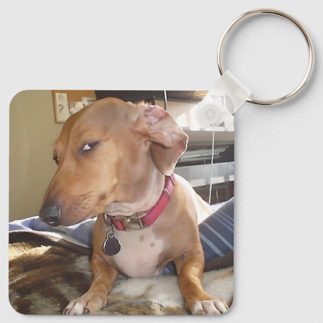 Llavero Lado Perro Ojo Meme Doble Lado Keychain (Reverso )