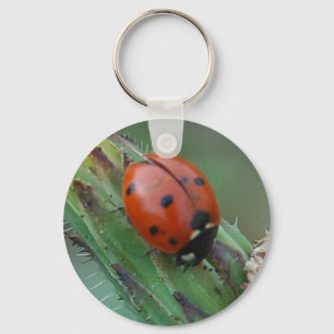 Llavero Lady Bug