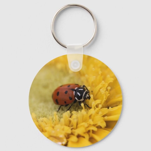 Llavero Lady bug (Anverso)