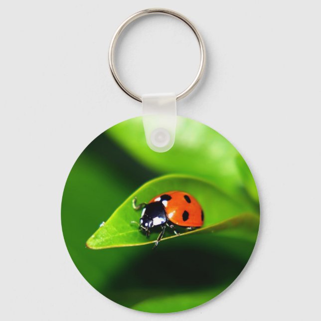 Llavero Ladybug (Anverso)