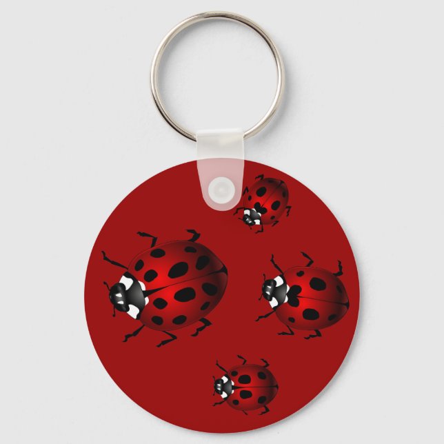 Llavero Ladybug Art Keychain Bug Keepsake Ladybug Regalos (Anverso)