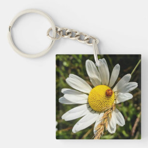 Llavero Ladybug en Daisy