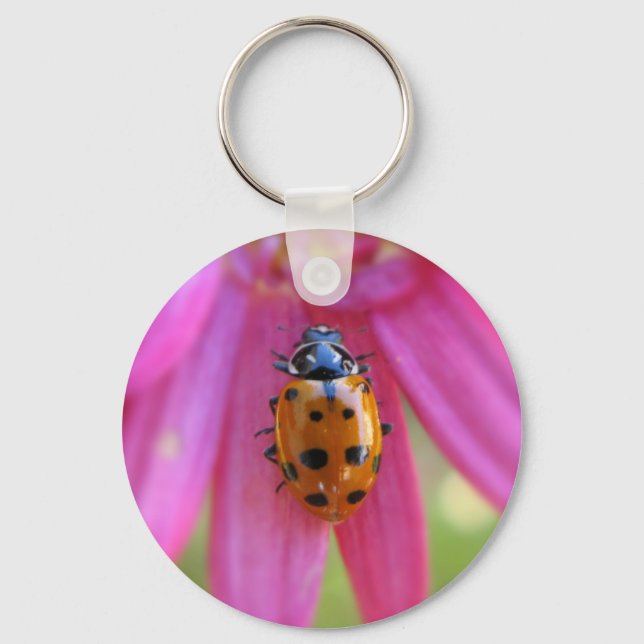 Llavero Ladybug Keychain (Anverso)