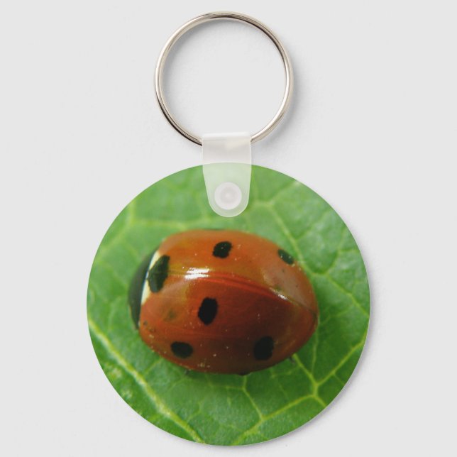 Llavero Ladybug Keychain (Anverso)
