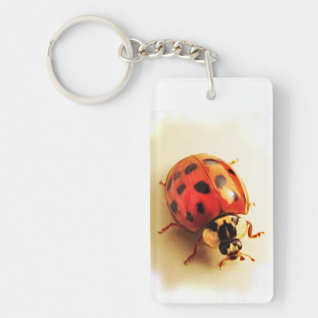 Llavero Ladybug Keychain (Frente)