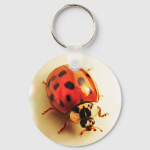 Llavero Ladybug Keychain