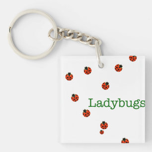 Llavero Ladybugs