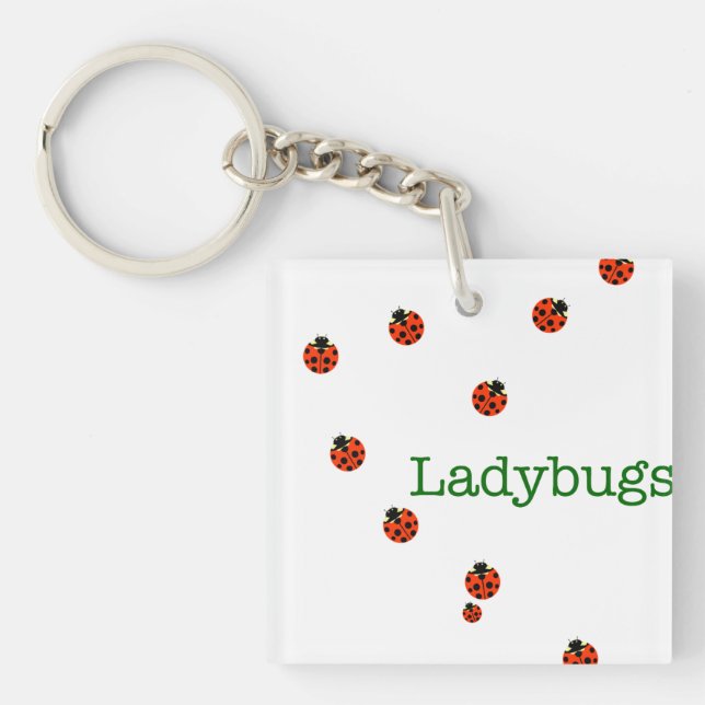Llavero Ladybugs (Frente)