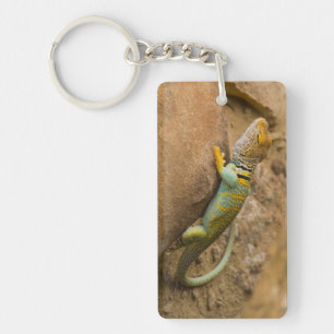 Llavero Lagarto de collar