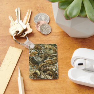 Llavero Lagartos por Ernst Haeckel Lacertilia Animal Antig