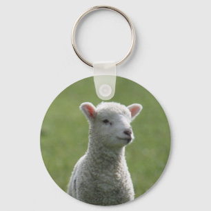 Llavero Lamb