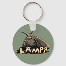 Lámpara? Moth Meme