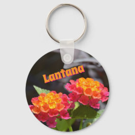 Llavero Lantana Bright Colorful Botanical Flowers