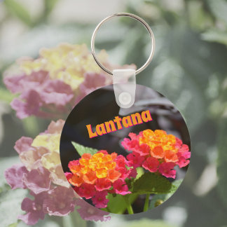 Llavero Lantana Flores Botánicas Coloridas Brillantes