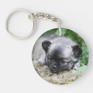 Llavero Larga cachorro chihuahua