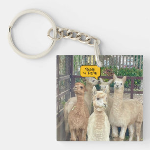 Llavero Las Llamas son de Perú en esta cadena de claves