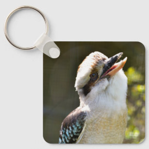 Llavero Laughing Kookaburra encaramado en la sucursal Post