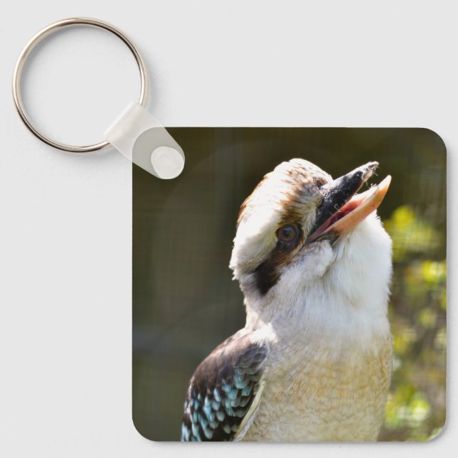 Llavero Laughing Kookaburra encaramado en la sucursal Post (Anverso)
