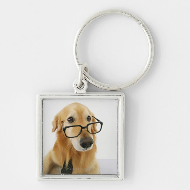 Llavero Lazo y vidrios que llevan del perro que asisten en (Frente)