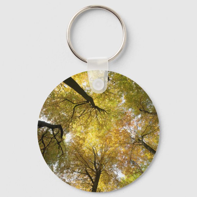 Llavero Leafy Canopy (Anverso)