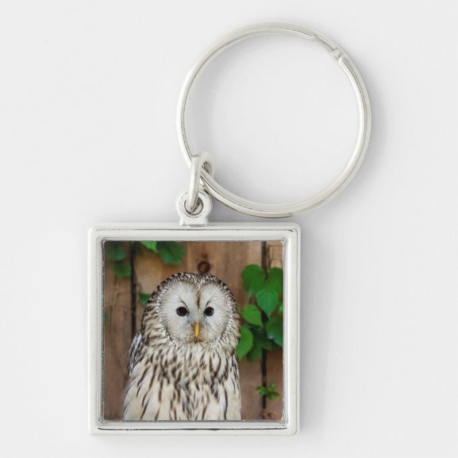 Llavero Lechuza Barred (Frente)