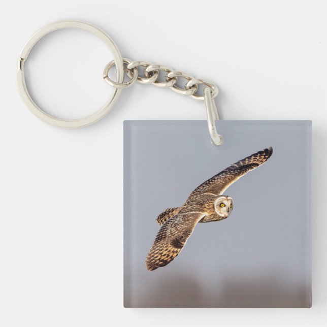 Llavero Lechuza de corta duración en las praderas de Shawa (Frente)