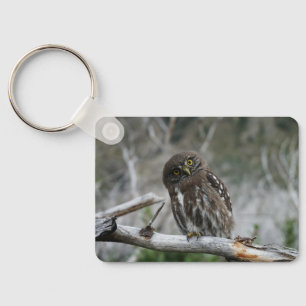 Llavero Lechuza pigmea del norte