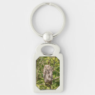 Llavero Lechuza Sleepy Barred
