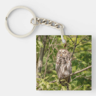 Llavero Lechuza Sleepy Barred