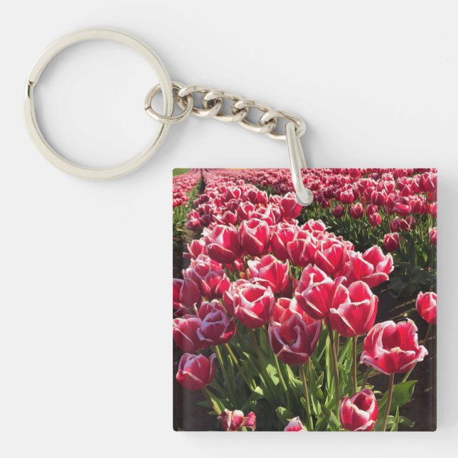 Llavero Leen Van Der Mark Tulips, Oregón (Frente)